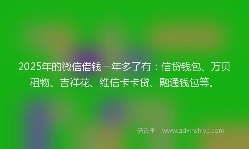 2025年的微信借钱一年多了有：信贷钱包、万贝租物、吉祥花、维信卡卡贷、融通钱包等。