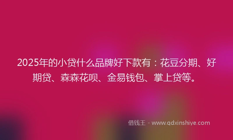 2025年的小贷什么品牌好下款有：花豆分期、好期贷、森森花呗、金易钱包、掌上贷等。