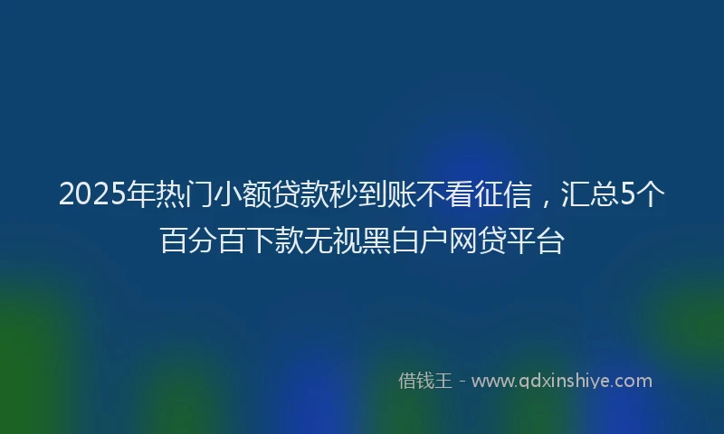 2025年热门小额贷款秒到账不看征信，汇总5个百分百下款无视黑白户网贷平台