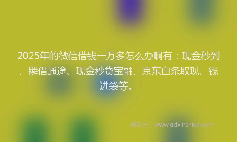 2025年的微信借钱一万多怎么办啊有：现金秒到、瞬借通途、现金秒贷宝融、京东白条取现、钱进袋等。
