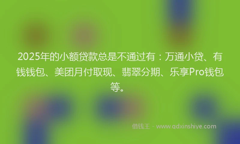 2025年的小额贷款总是不通过有：万通小贷、有钱钱包、美团月付取现、翡翠分期、乐享Pro钱包等。