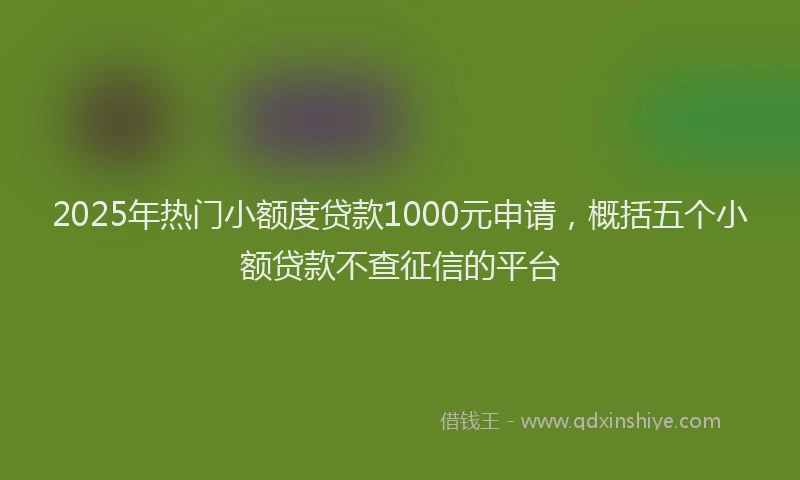 2025年热门小额度贷款1000元申请，概括五个小额贷款不查征信的平台