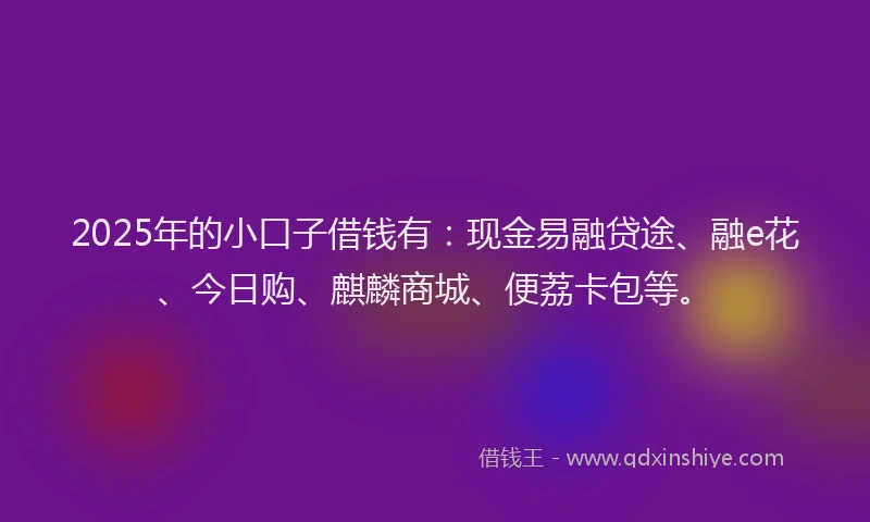 2025年的小口子借钱有：现金易融贷途、融e花、今日购、麒麟商城、便荔卡包等。