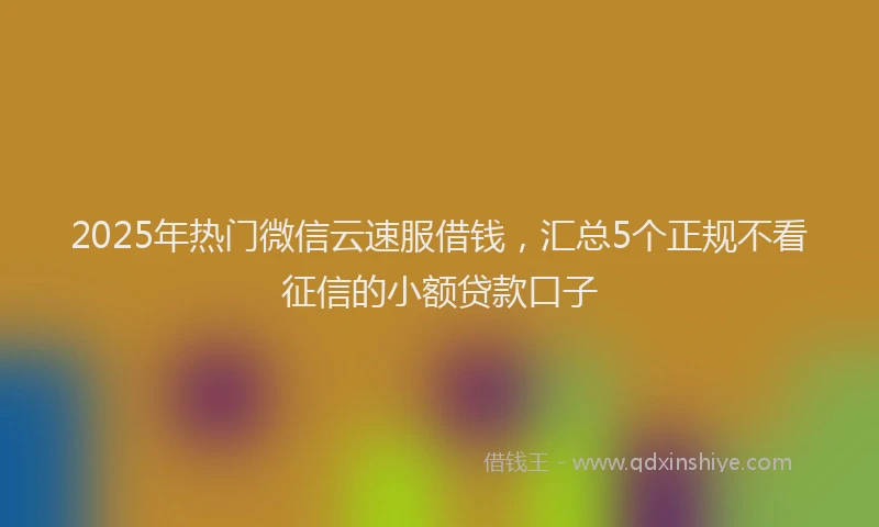 2025年热门微信云速服借钱，汇总5个正规不看征信的小额贷款口子