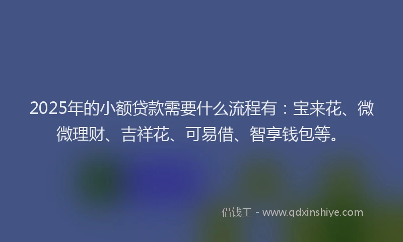 2025年的小额贷款需要什么流程有：宝来花、微微理财、吉祥花、可易借、智享钱包等。