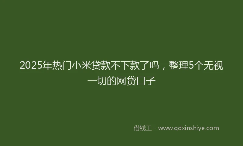 2025年热门小米贷款不下款了吗，整理5个无视一切的网贷口子