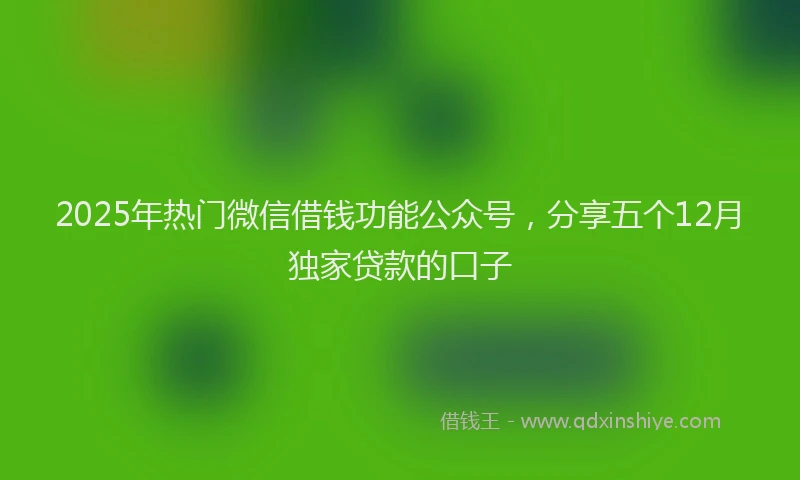 2025年热门微信借钱功能公众号，分享五个12月独家贷款的口子