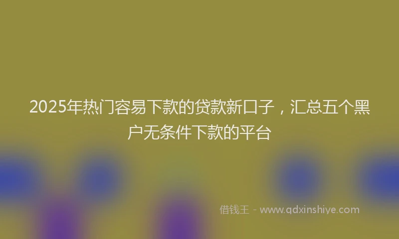 2025年热门容易下款的贷款新口子，汇总五个黑户无条件下款的平台