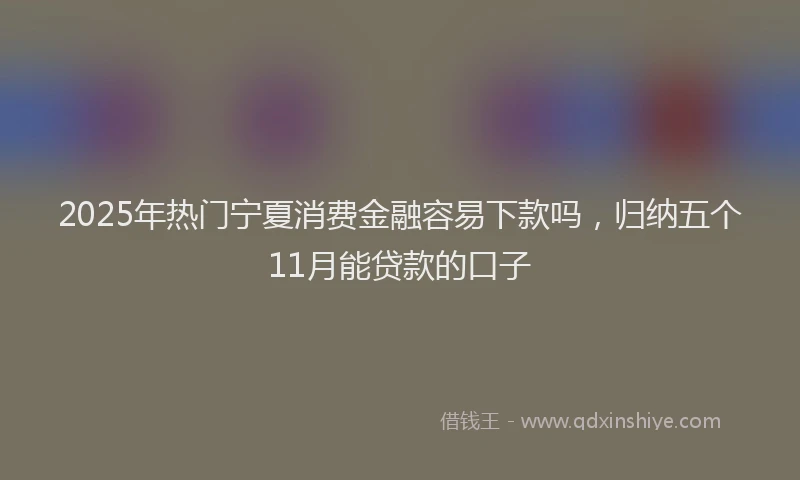 2025年热门宁夏消费金融容易下款吗，归纳五个11月能贷款的口子
