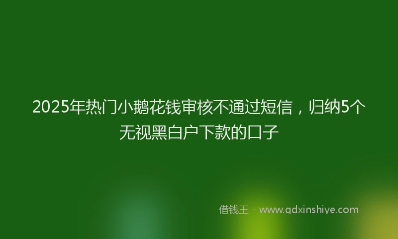 2025年热门小鹅花钱审核不通过短信，归纳5个无视黑白户下款的口子