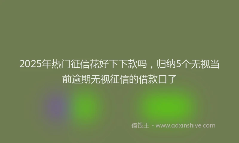 2025年热门征信花好下下款吗，归纳5个无视当前逾期无视征信的借款口子