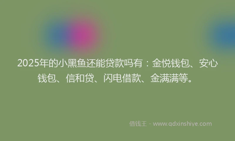 2025年的小黑鱼还能贷款吗有：金悦钱包、安心钱包、信和贷、闪电借款、金满满等。