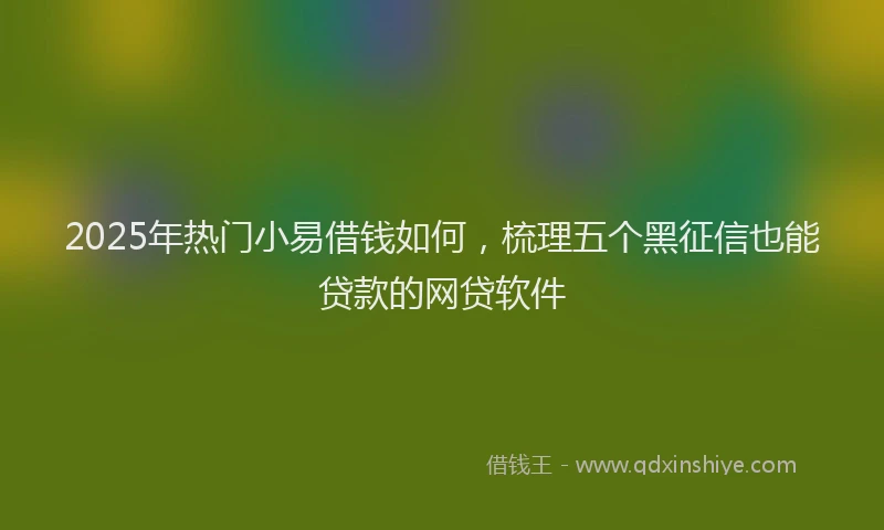 2025年热门小易借钱如何，梳理五个黑征信也能贷款的网贷软件