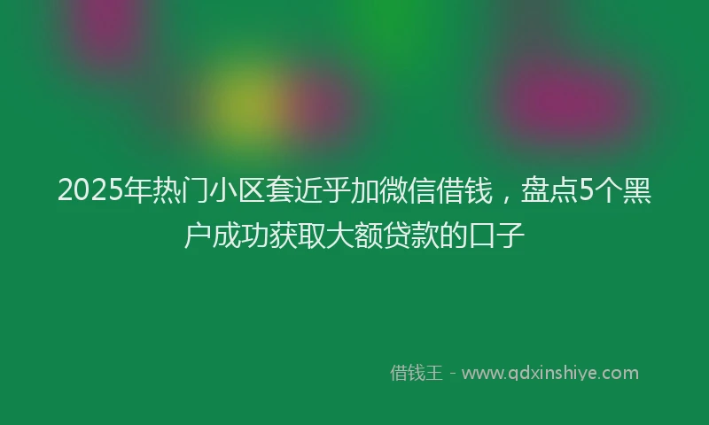 2025年热门小区套近乎加微信借钱，盘点5个黑户成功获取大额贷款的口子