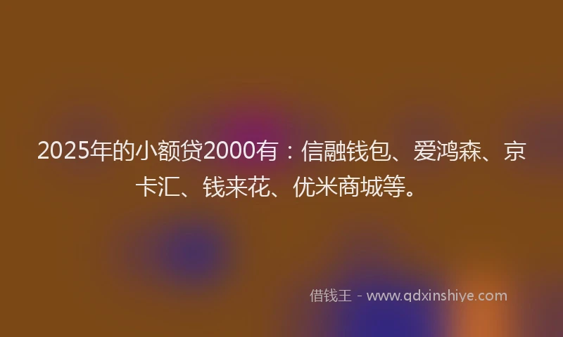 2025年的小额贷2000有：信融钱包、爱鸿森、京卡汇、钱来花、优米商城等。