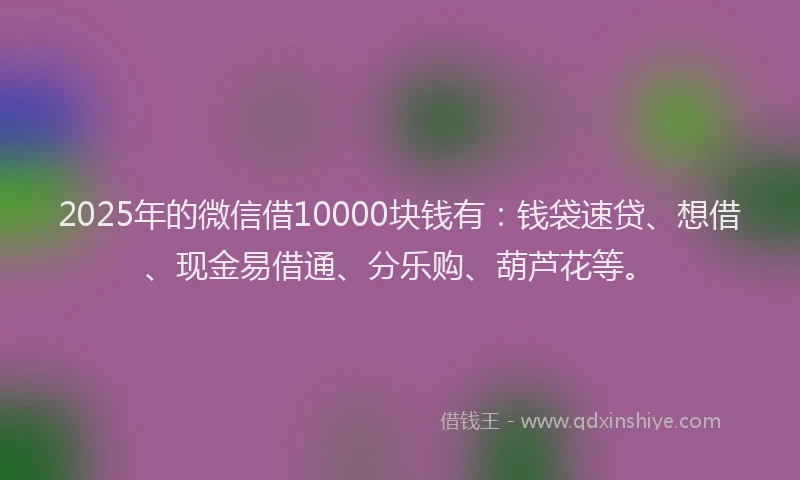 2025年的微信借10000块钱有：钱袋速贷、想借、现金易借通、分乐购、葫芦花等。