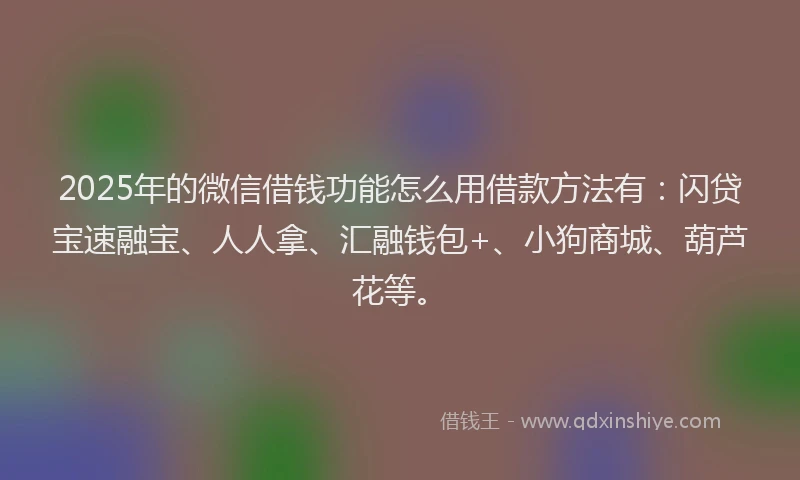 2025年的微信借钱功能怎么用借款方法有：闪贷宝速融宝、人人拿、汇融钱包+、小狗商城、葫芦花等。