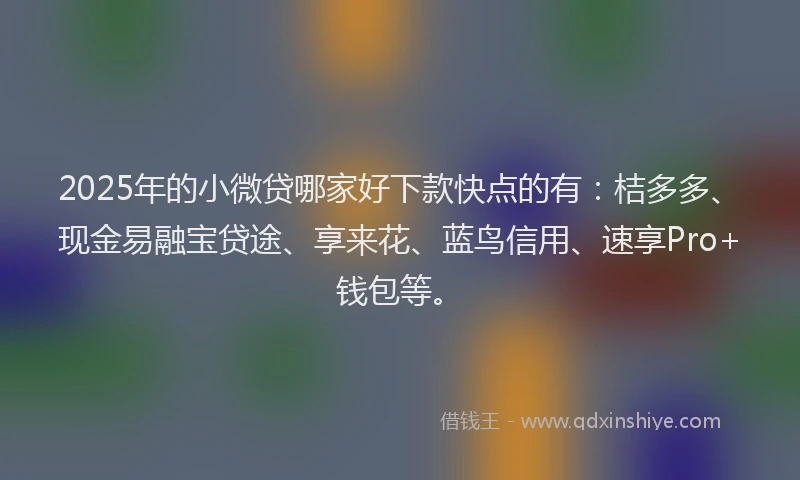 2025年的小微贷哪家好下款快点的有：桔多多、现金易融宝贷途、享来花、蓝鸟信用、速享Pro+钱包等。