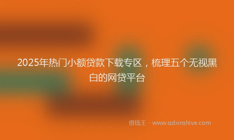 2025年热门小额贷款下载专区，梳理五个无视黑白的网贷平台