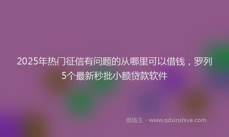 2025年热门征信有问题的从哪里可以借钱，罗列5个最新秒批小额贷款软件