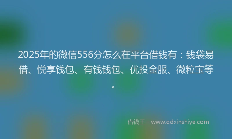 2025年的微信556分怎么在平台借钱有：钱袋易借、悦享钱包、有钱钱包、优投金服、微粒宝等。