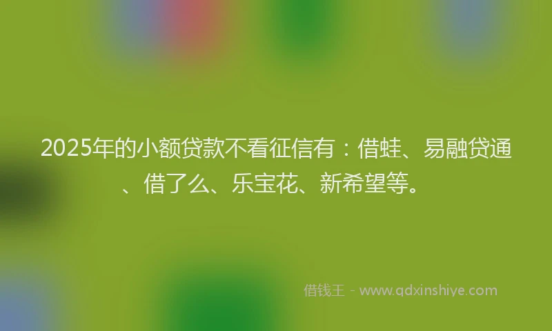 2025年的小额贷款不看征信有：借蛙、易融贷通、借了么、乐宝花、新希望等。