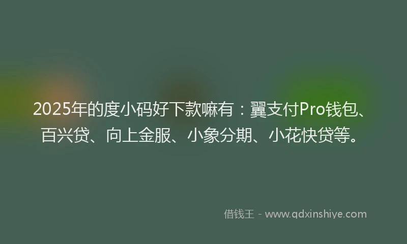 2025年的度小码好下款嘛有：翼支付Pro钱包、百兴贷、向上金服、小象分期、小花快贷等。