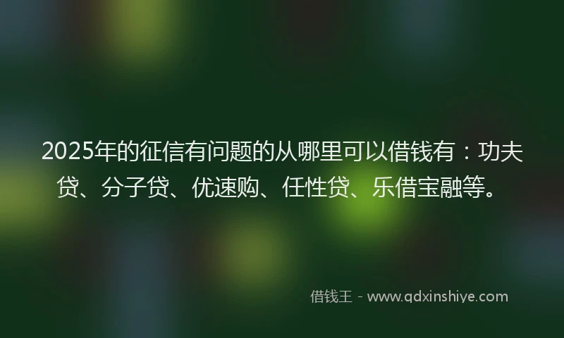 2025年的征信有问题的从哪里可以借钱有：功夫贷、分子贷、优速购、任性贷、乐借宝融等。