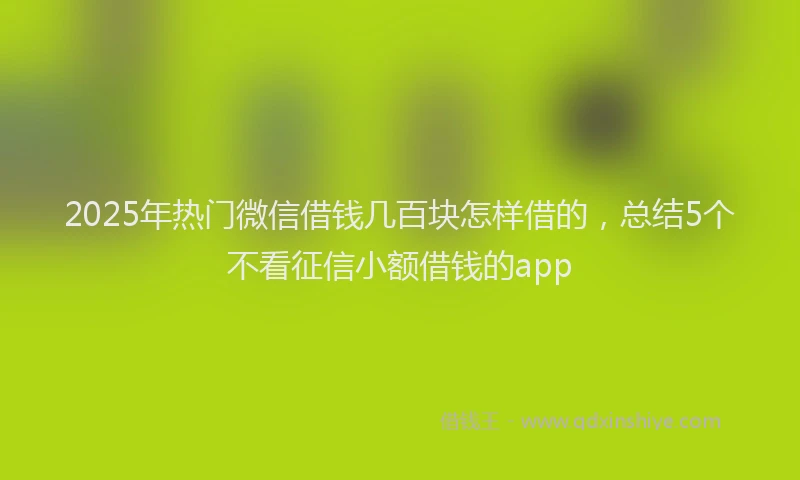 2025年热门微信借钱几百块怎样借的，总结5个不看征信小额借钱的app