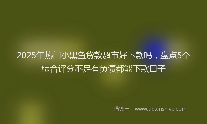 2025年热门小黑鱼贷款超市好下款吗，盘点5个综合评分不足有负债都能下款口子