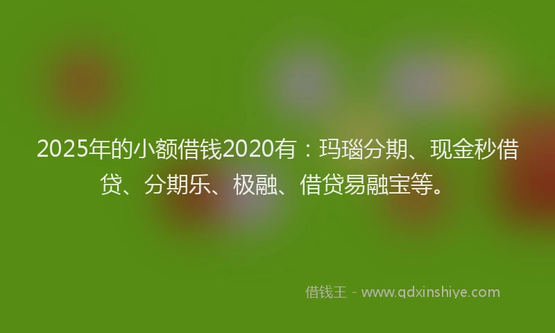 2025年的小额借钱2020有：玛瑙分期、现金秒借贷、分期乐、极融、借贷易融宝等。