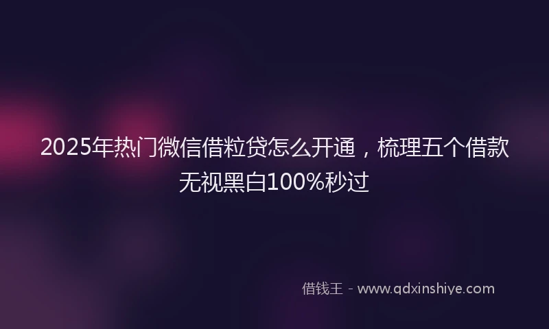 2025年热门微信借粒贷怎么开通，梳理五个借款无视黑白100%秒过