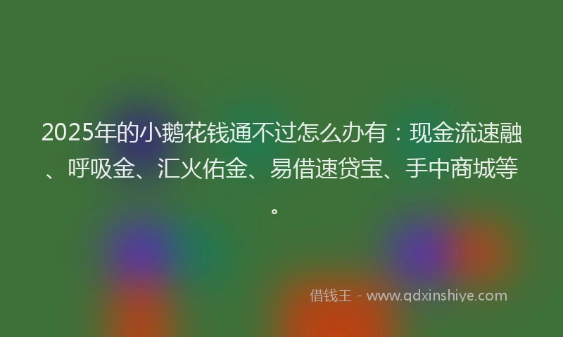 2025年的小鹅花钱通不过怎么办有：现金流速融、呼吸金、汇火佑金、易借速贷宝、手中商城等。