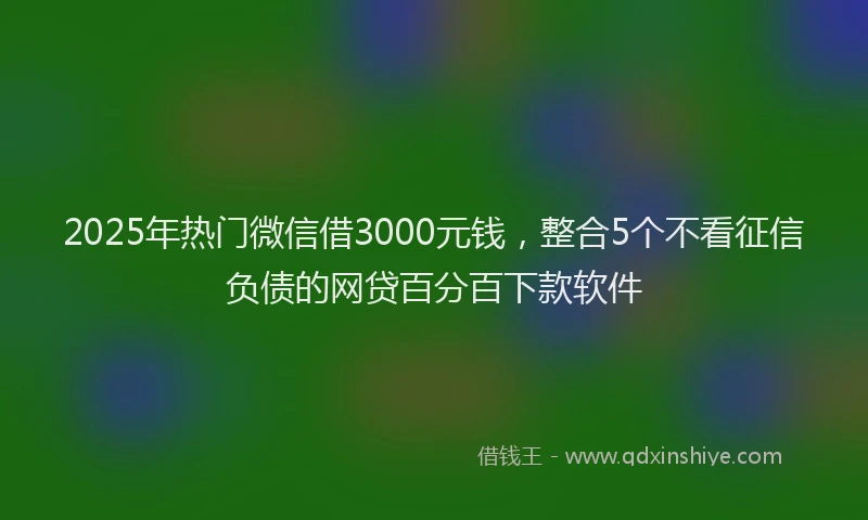 2025年热门微信借3000元钱，整合5个不看征信负债的网贷百分百下款软件