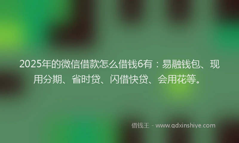 2025年的微信借款怎么借钱6有：易融钱包、现用分期、省时贷、闪借快贷、会用花等。