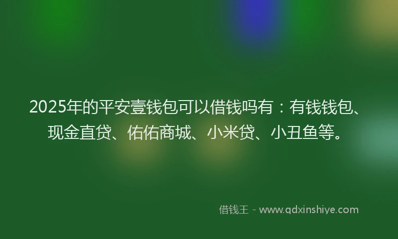 2025年的平安壹钱包可以借钱吗有：有钱钱包、现金直贷、佑佑商城、小米贷、小丑鱼等。
