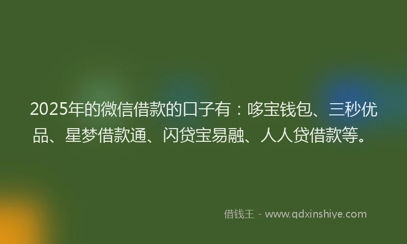 2025年的微信借款的口子有：哆宝钱包、三秒优品、星梦借款通、闪贷宝易融、人人贷借款等。