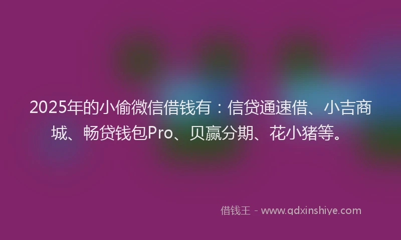 2025年的小偷微信借钱有：信贷通速借、小吉商城、畅贷钱包Pro、贝赢分期、花小猪等。