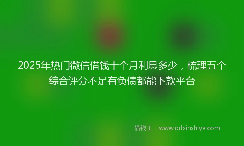 2025年热门微信借钱十个月利息多少，梳理五个综合评分不足有负债都能下款平台