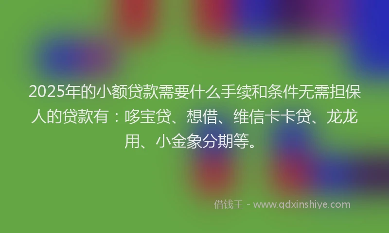 2025年的小额贷款需要什么手续和条件无需担保人的贷款有：哆宝贷、想借、维信卡卡贷、龙龙用、小金象分期等。