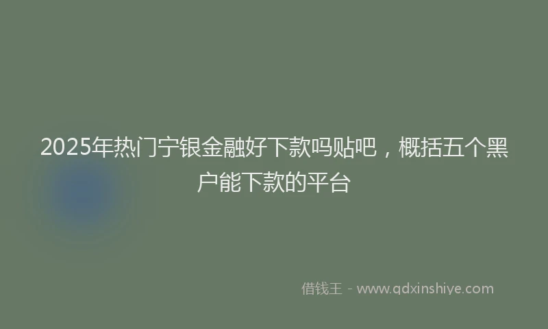 2025年热门宁银金融好下款吗贴吧，概括五个黑户能下款的平台