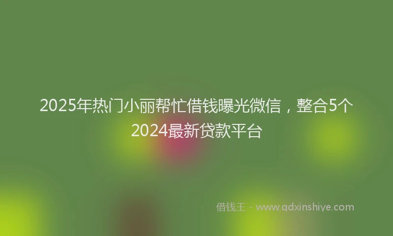 2025年热门小丽帮忙借钱曝光微信，整合5个2024最新贷款平台