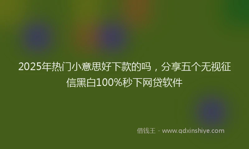 2025年热门小意思好下款的吗，分享五个无视征信黑白100%秒下网贷软件