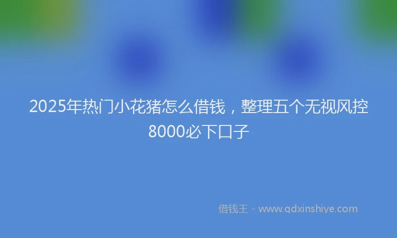 2025年热门小花猪怎么借钱，整理五个无视风控8000必下口子