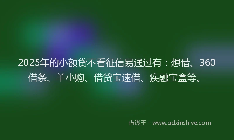 2025年的小额贷不看征信易通过有：想借、360借条、羊小购、借贷宝速借、疾融宝盒等。
