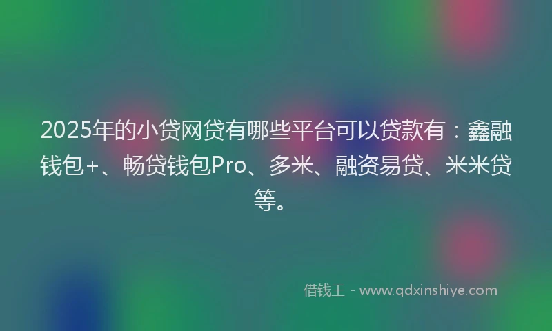 2025年的小贷网贷有哪些平台可以贷款有：鑫融钱包+、畅贷钱包Pro、多米、融资易贷、米米贷等。