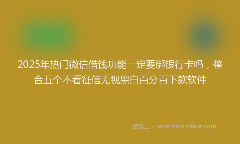 2025年热门微信借钱功能一定要绑银行卡吗，整合五个不看征信无视黑白百分百下款软件