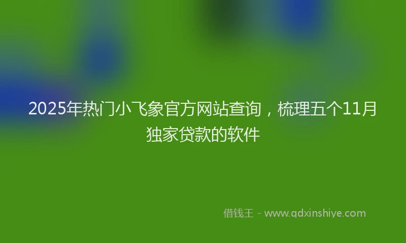 2025年热门小飞象官方网站查询，梳理五个11月独家贷款的软件
