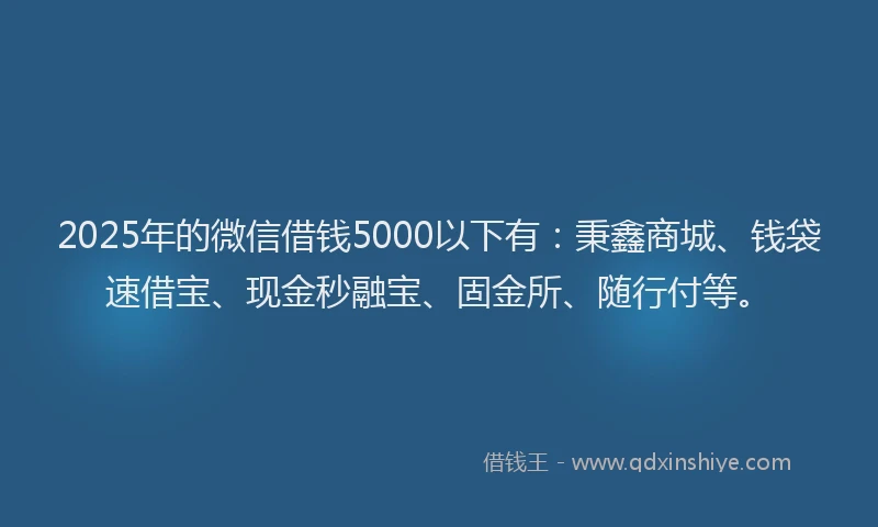 2025年的微信借钱5000以下有：秉鑫商城、钱袋速借宝、现金秒融宝、固金所、随行付等。