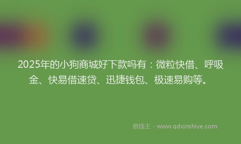 2025年的小狗商城好下款吗有：微粒快借、呼吸金、快易借速贷、迅捷钱包、极速易购等。